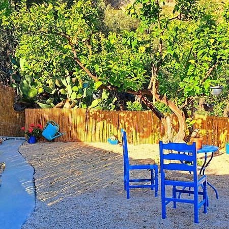 Aegean Serenity - Sea View Retreat Archangelos  Zewnętrze zdjęcie