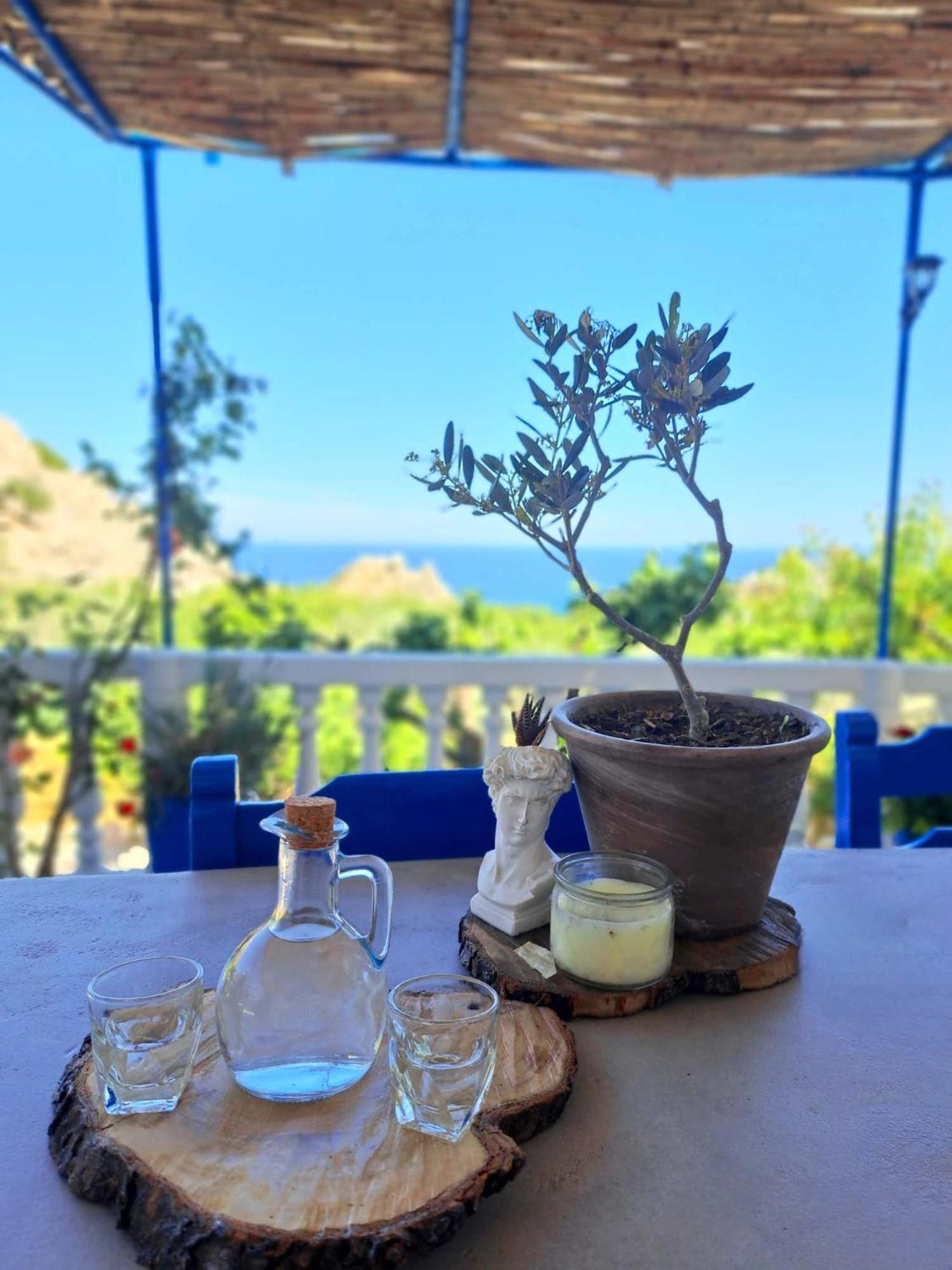 Aegean Serenity - Sea View Retreat Archangelos  Zewnętrze zdjęcie