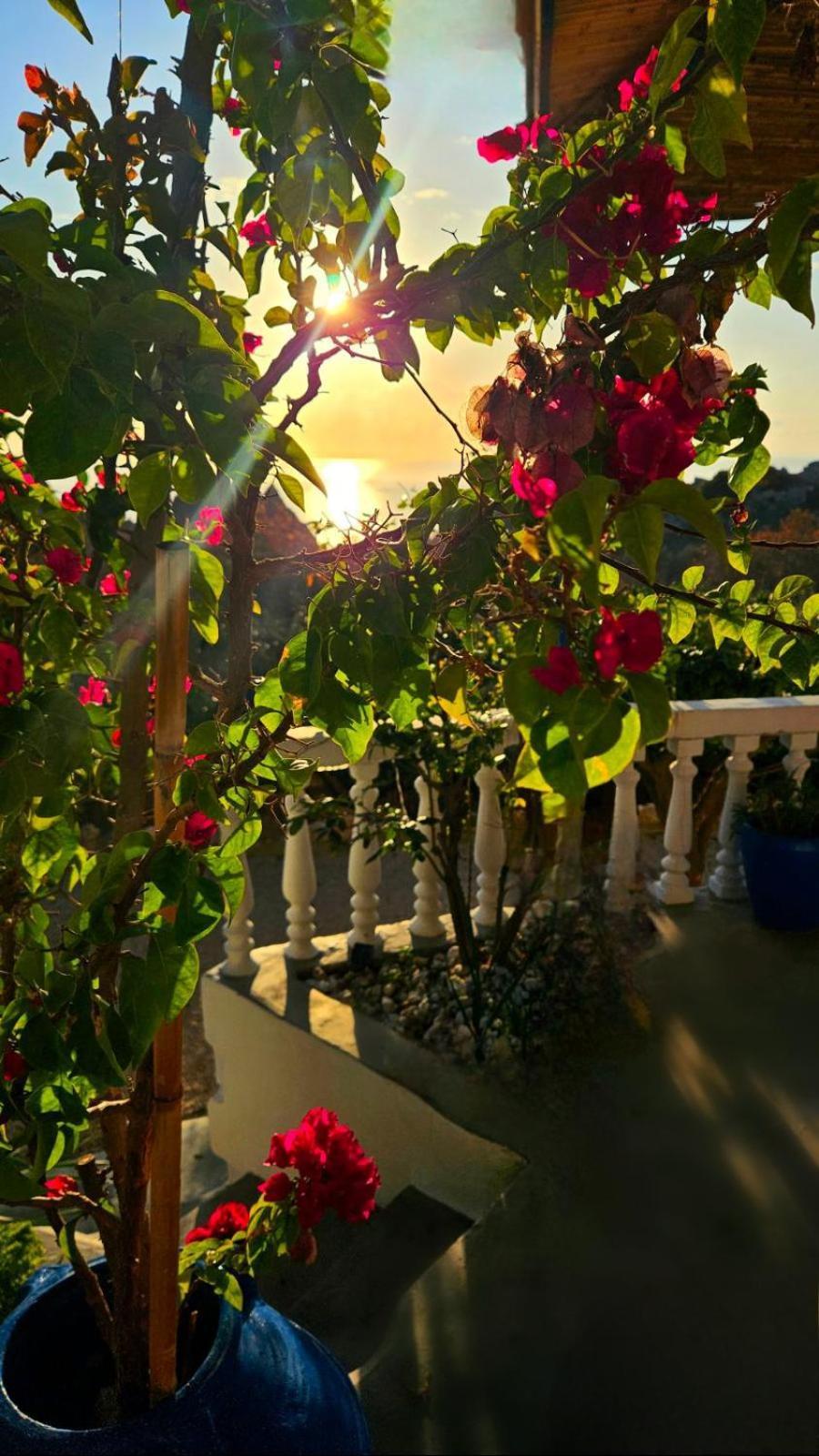 Aegean Serenity - Sea View Retreat Archangelos  Zewnętrze zdjęcie